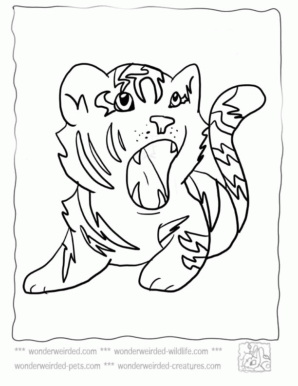 Baby Tiger Coloring PagesEchos Cute Tiger Coloring Pages For Kids 