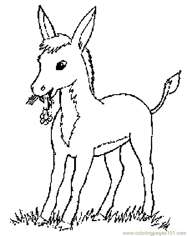 Coloring Pages Donkey Coloring Page 006 (Cartoons > Others) - free 