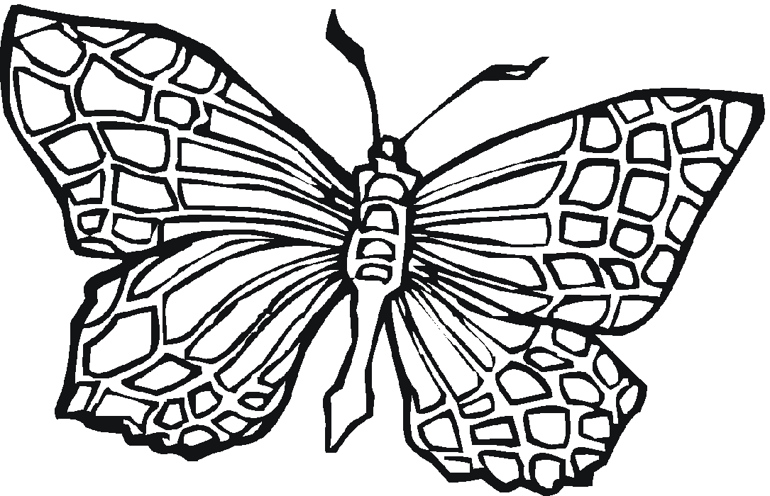 Stained-glass Colouring Pages