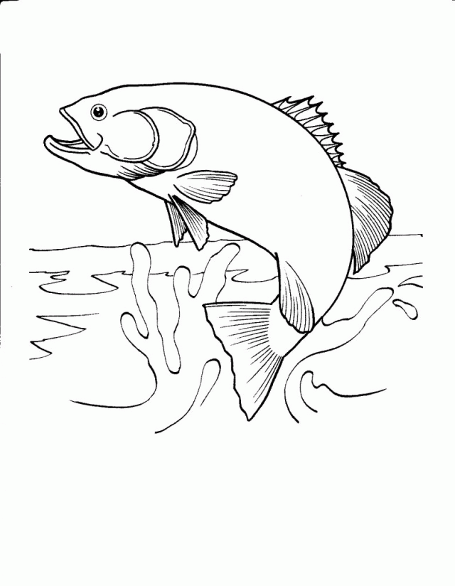 Animal Fish Coloring Pages Kids Tropical Fish Coloring Pages 