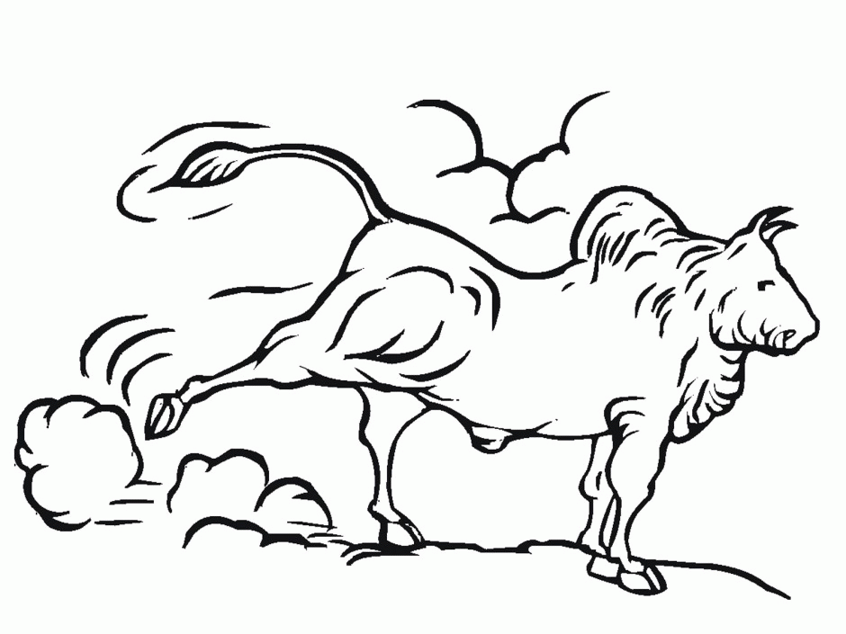 Bison Coloring Page - Coloring Home