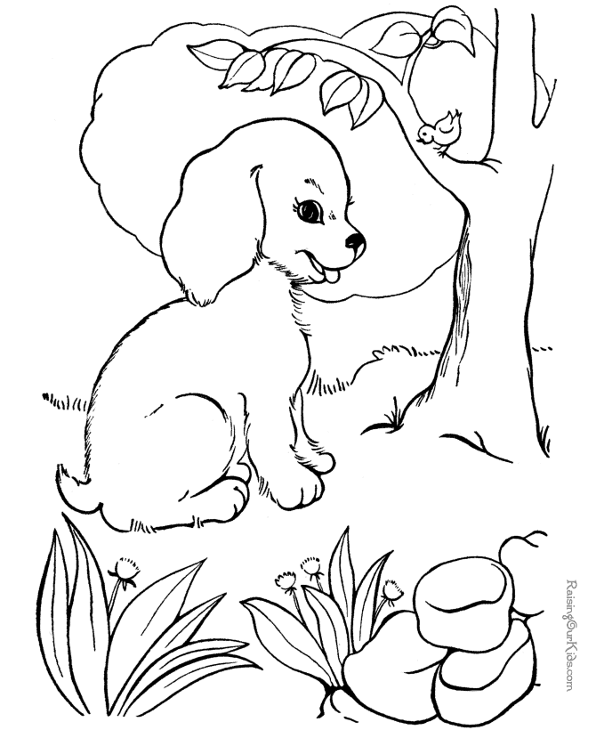 Coloring Pages Of Dogs And Cats Printable : Coloring Sheets Of 