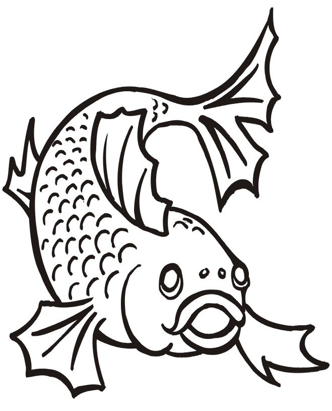 Realistic Fish Coloring Pages.
