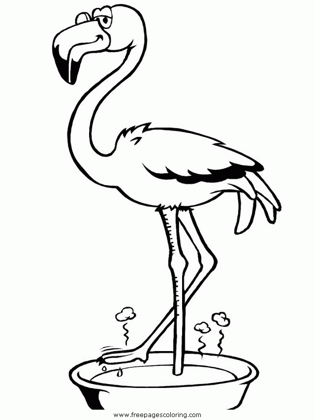 Flamingo Coloring Pages For Kids Coloring Home