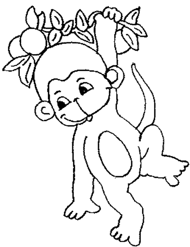 Monkey Coloring Pages | Coloring Town