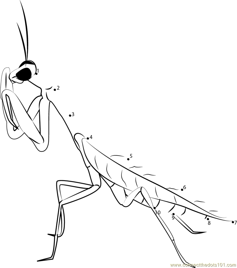 Connect the Dots Praying Mantis (Insects > Praying Mantis) - dot 