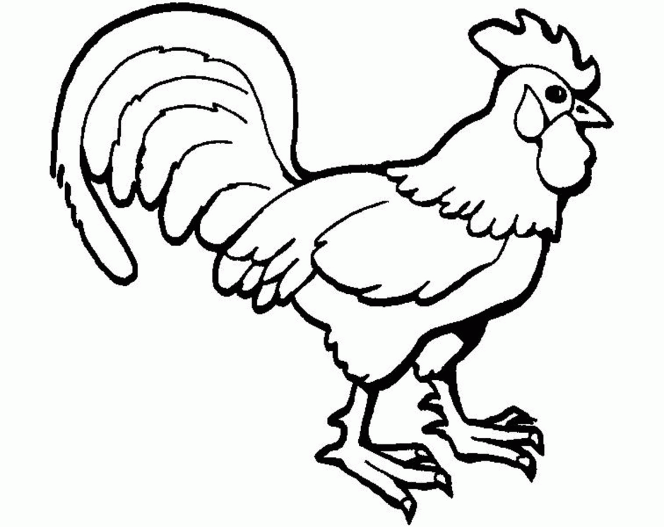 Hen On Eggs Znwmi Coloring Pages 278456 Name Coloring Pages To Print