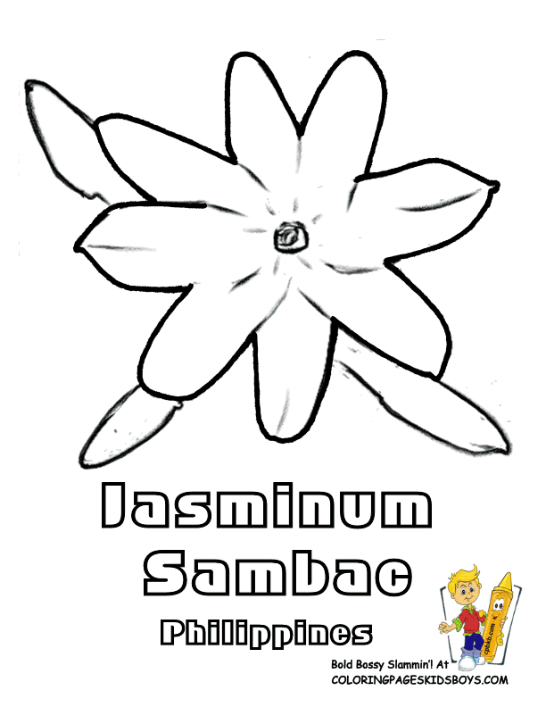 Jasminum Sambac Flower Coloring Sheet | Homeschool - World Geography …