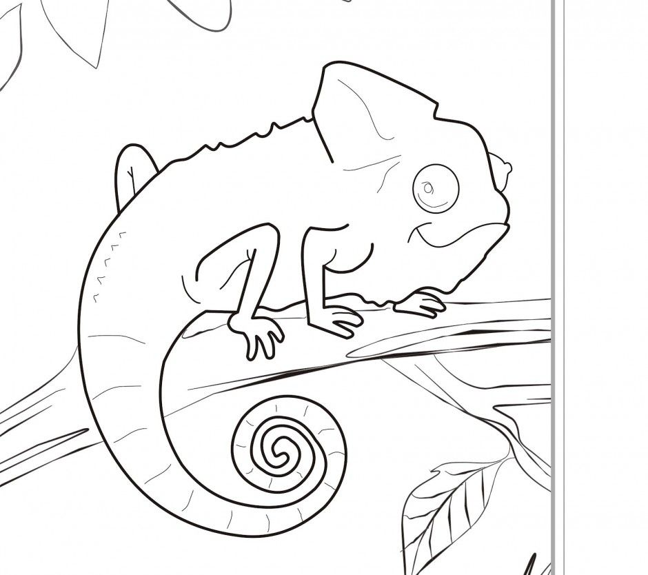 Animals Coloring Pages HelloColoring Com Coloring Pages 294739 
