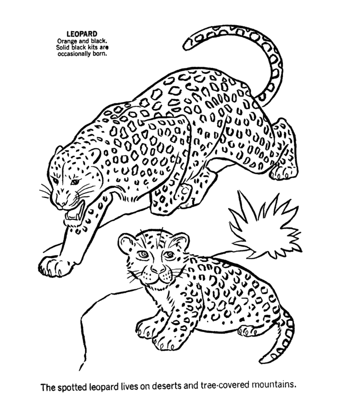 Animal Coloring Pages For Kids To Print | Free coloring pages