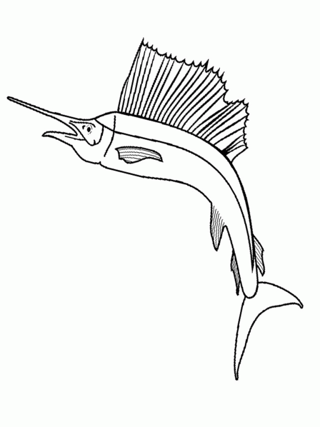 7275 Easy Sailfish Tropical Fish Animal Coloring Page Printable 