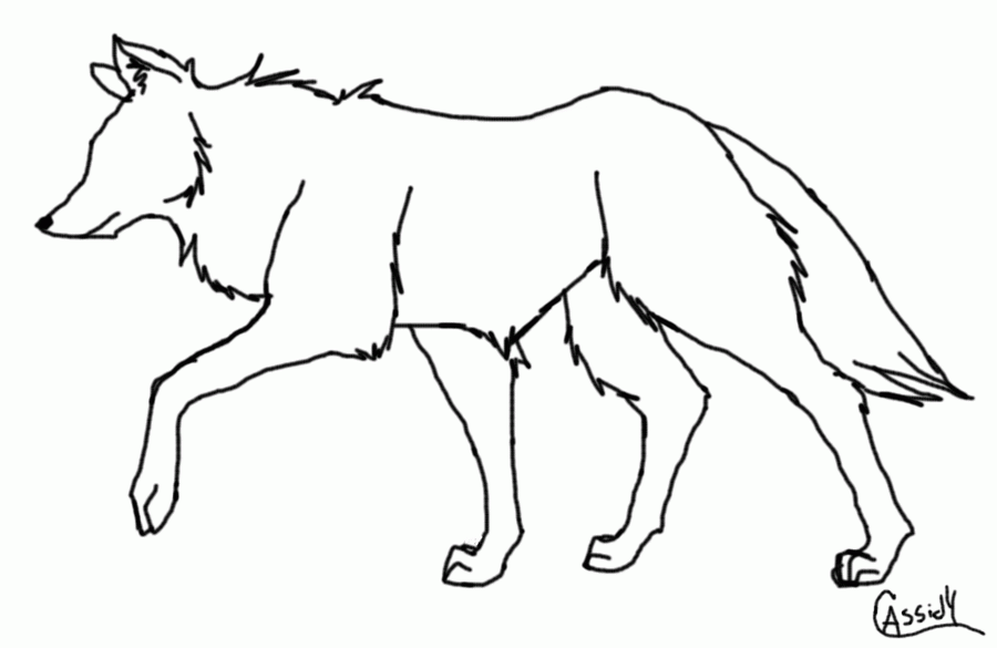how_to_draw_a_wolf_by_Iris_and 