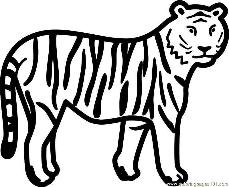 Coloring Pages Tiger (Mammals > Tiger) - free printable coloring 