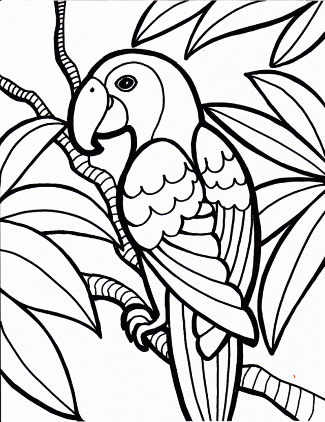 Coloring Pages Info 235081 Wizards Of Waverly Place Coloring Pages