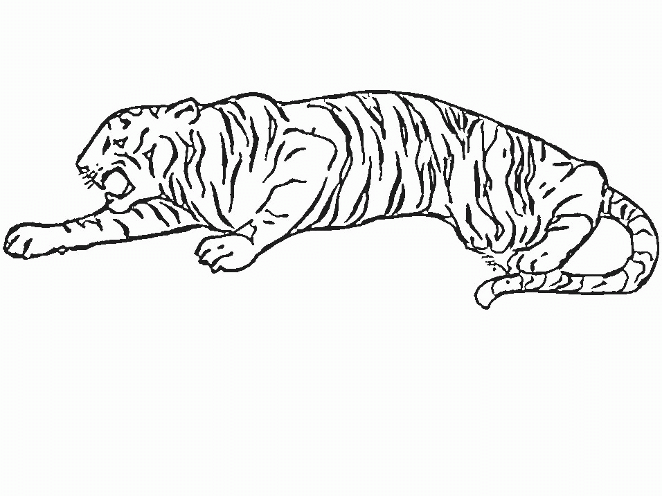 Coloring Page - Tiger animal coloring pages 17
