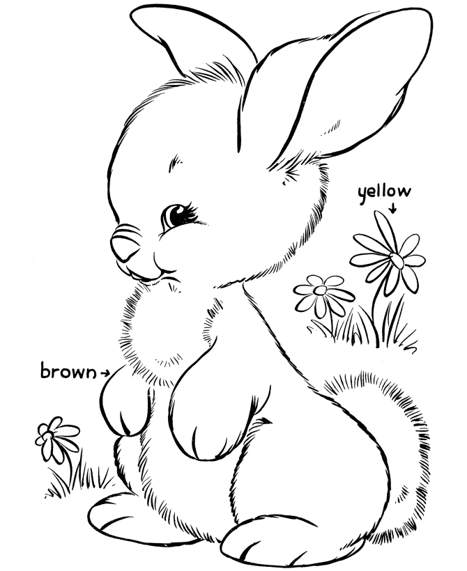 Childkids Rabbit Coloring Pages Printable