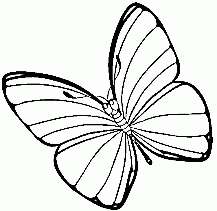 butterfly coloring images  coloring home