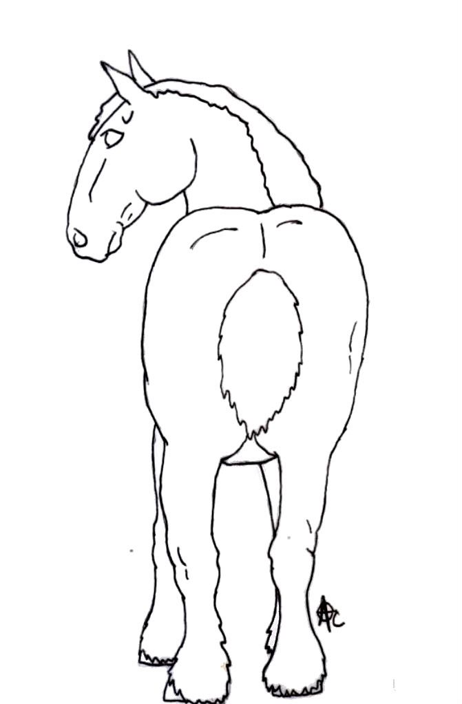 virtualhorseranch.com • View topic - Virtual Horse Art Apprentices