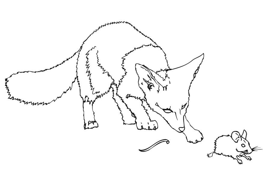 Coloring page field mouse without tail - img 9479.