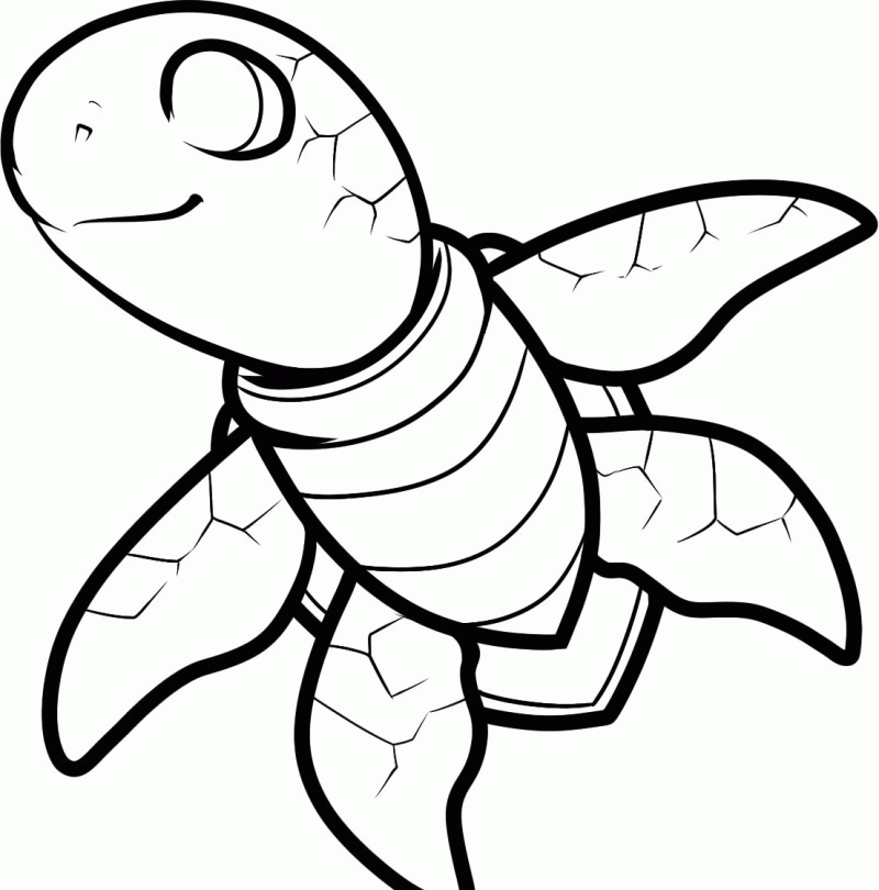 The Turtle Was A Kid Coloring Page - Kids Colouring Pages