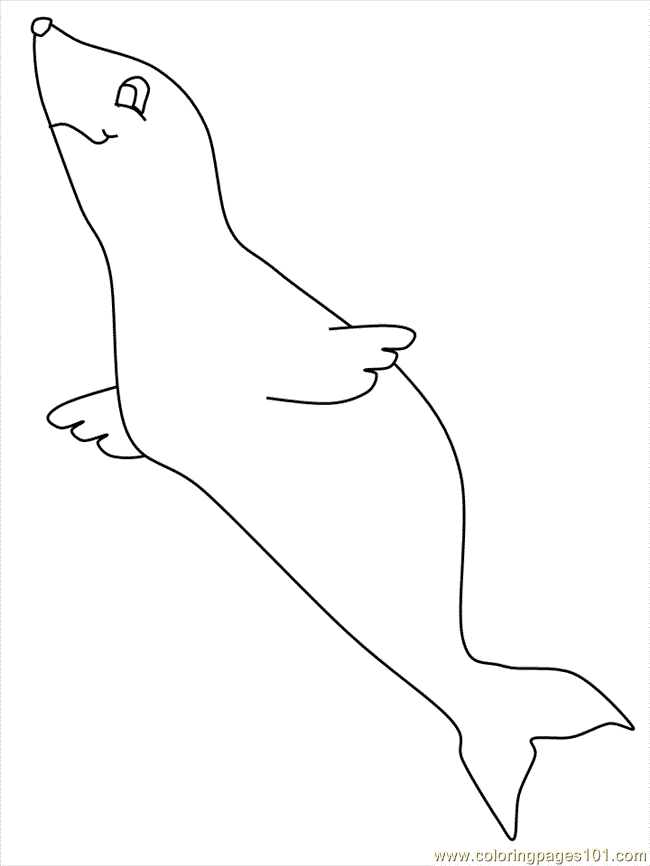 Coloring Pages Seal (Mammals > Seal) - free printable coloring 