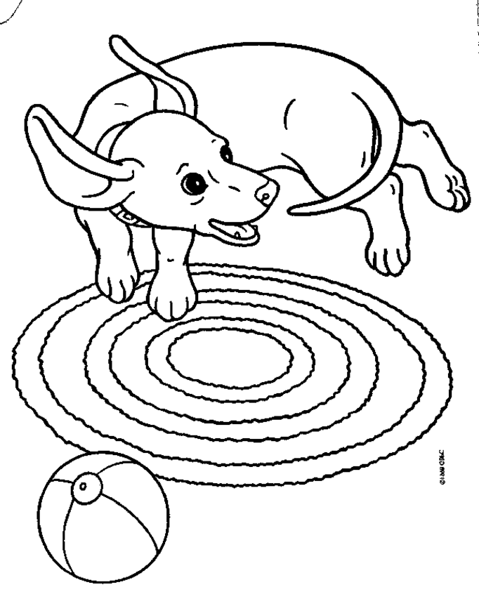 puppies-coloring-pages-3.gif (682×853) | Doxies In Loving Memory of M…