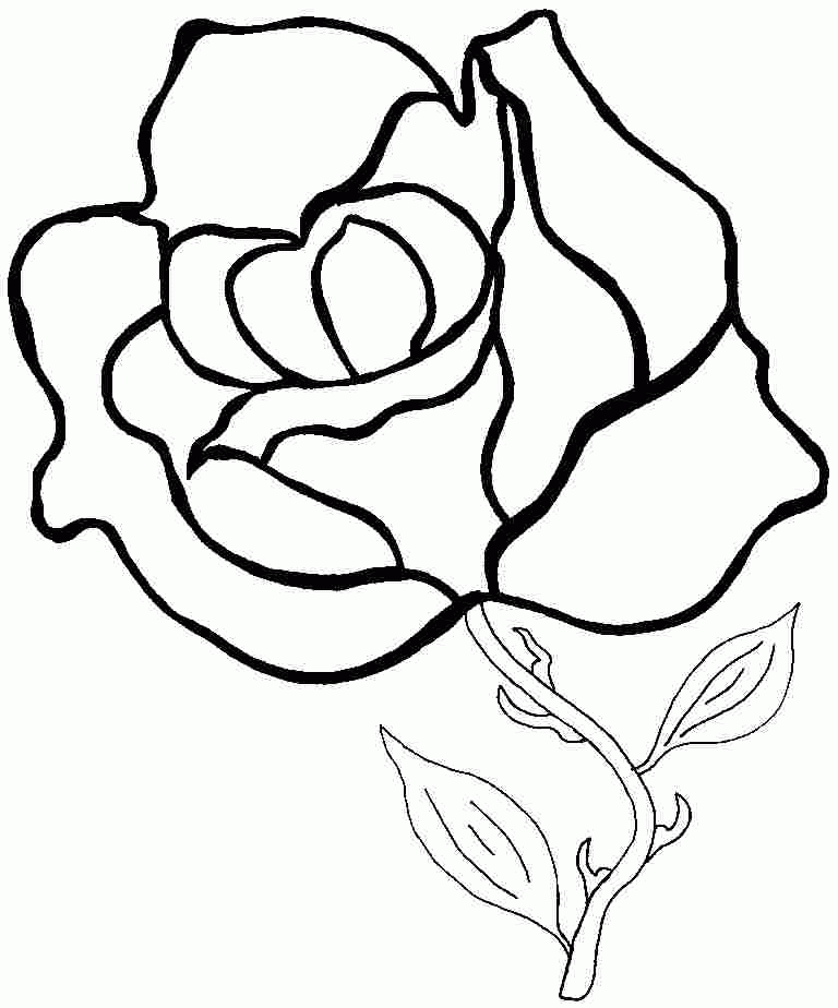 Free Rose Flowers Coloring Sheets For Preschool 20522#