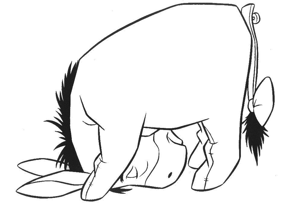 Coloring pages donkeys - picture 18