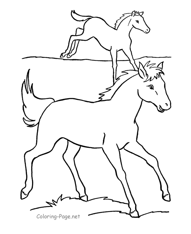Download Horse Coloring Pages Online - Coloring Home