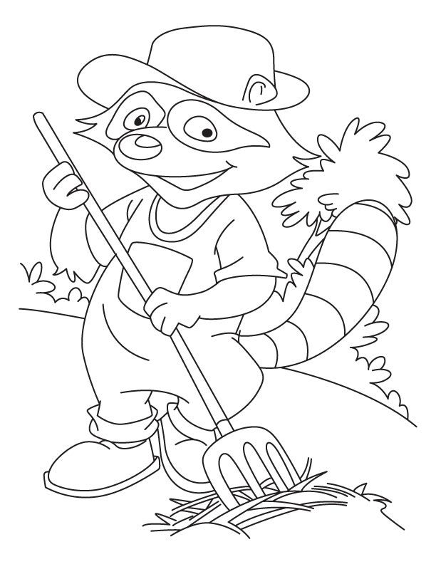 raccoon dog Colouring Pages (page 3)