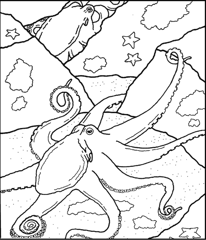 Coloring Pages Of Octopus