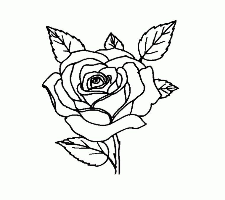 Rose Flower And Unique In The Vase Coloring Page For Kids - Flower 