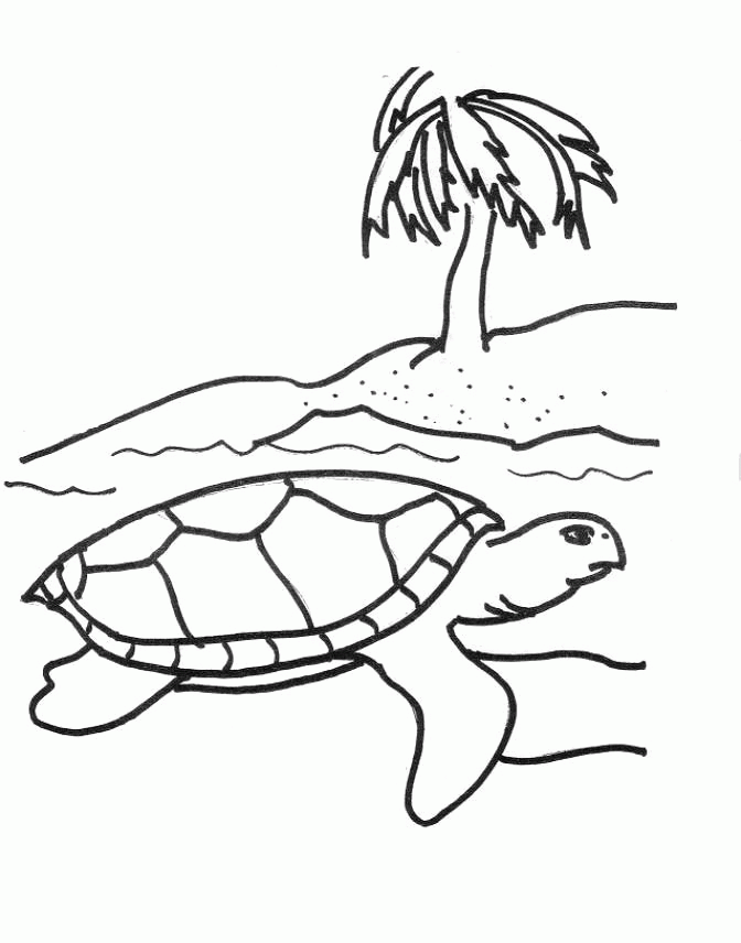 Free Printable Sea Turtle Coloring Pages For Kids