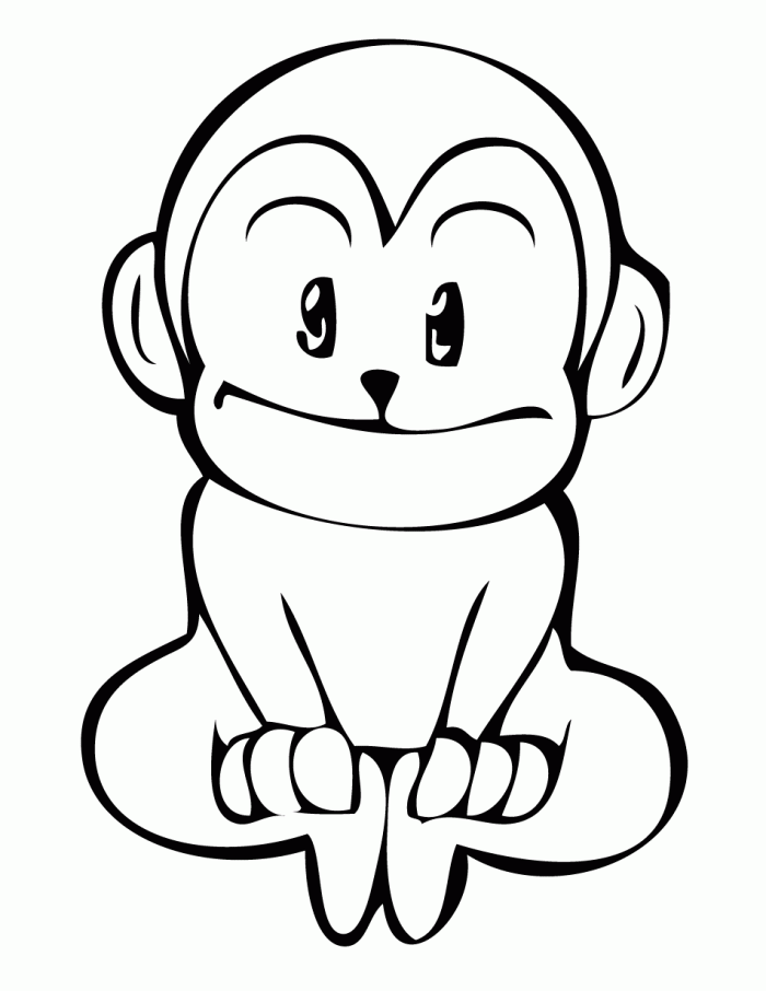 Baby Monkey Coloring Page Educations
