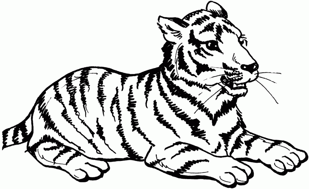 wild cats coloring pages