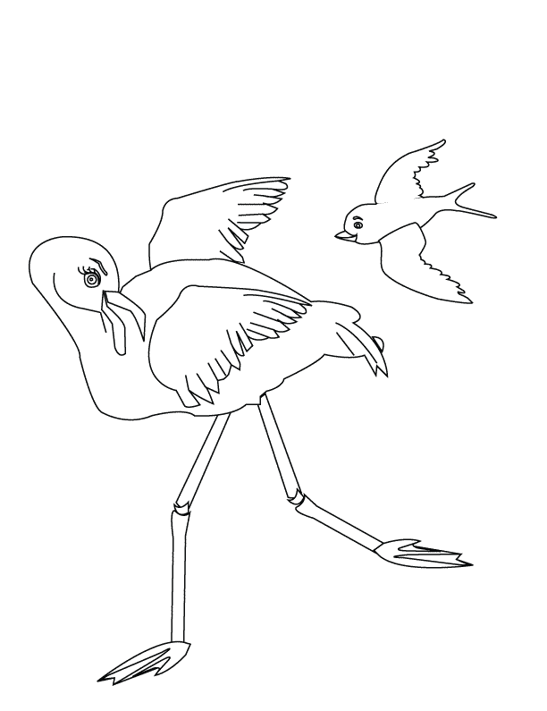 Coloring Pages - Flamingo