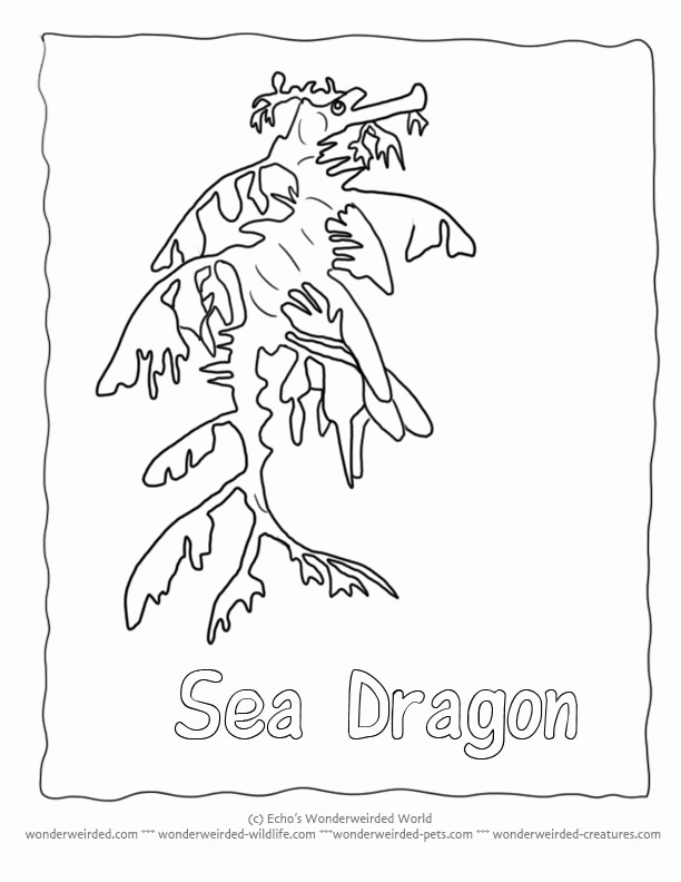 seahorse Colouring Pages (page 3)