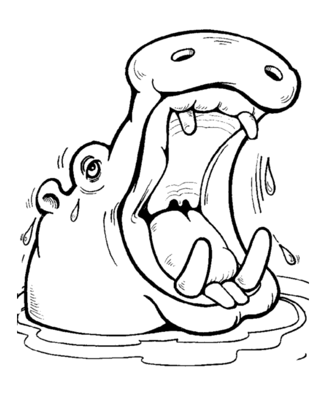 Happy Hippo Wild Animal Coloring Pages | Hippopotamus Coloring 