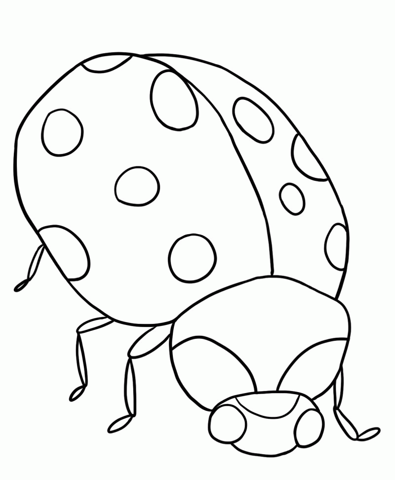 Ladybug Are Great Coloring Pages - Kids Colouring Pages