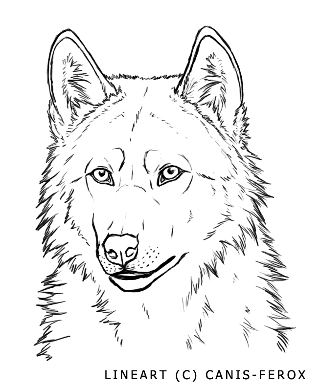 Wolf Face Coloring Page Coloring Home
