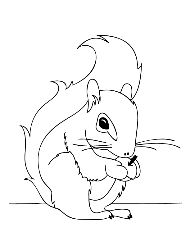 Squirrel Coloring Pages - Coloring For KidsColoring For Kids