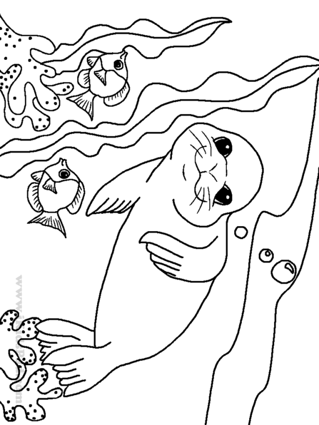 Sea lion swimming in the sea free printable coloring page for kids 