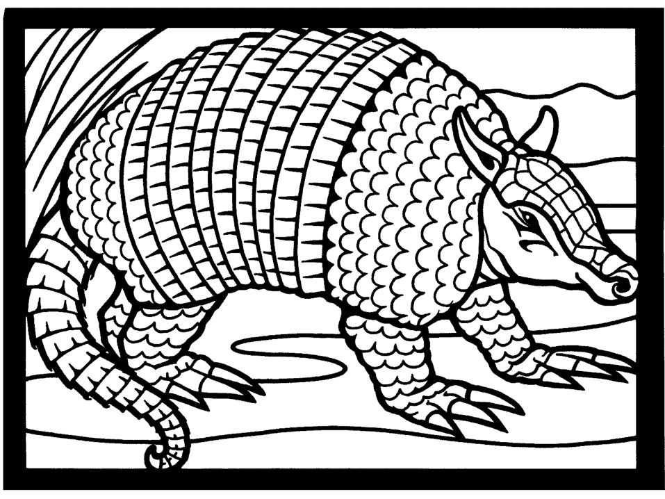 Armadillo Coloring Pages - Coloring Home