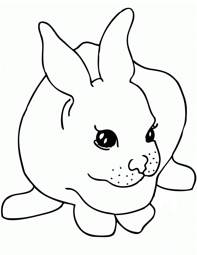 Picture Of A Rabbit