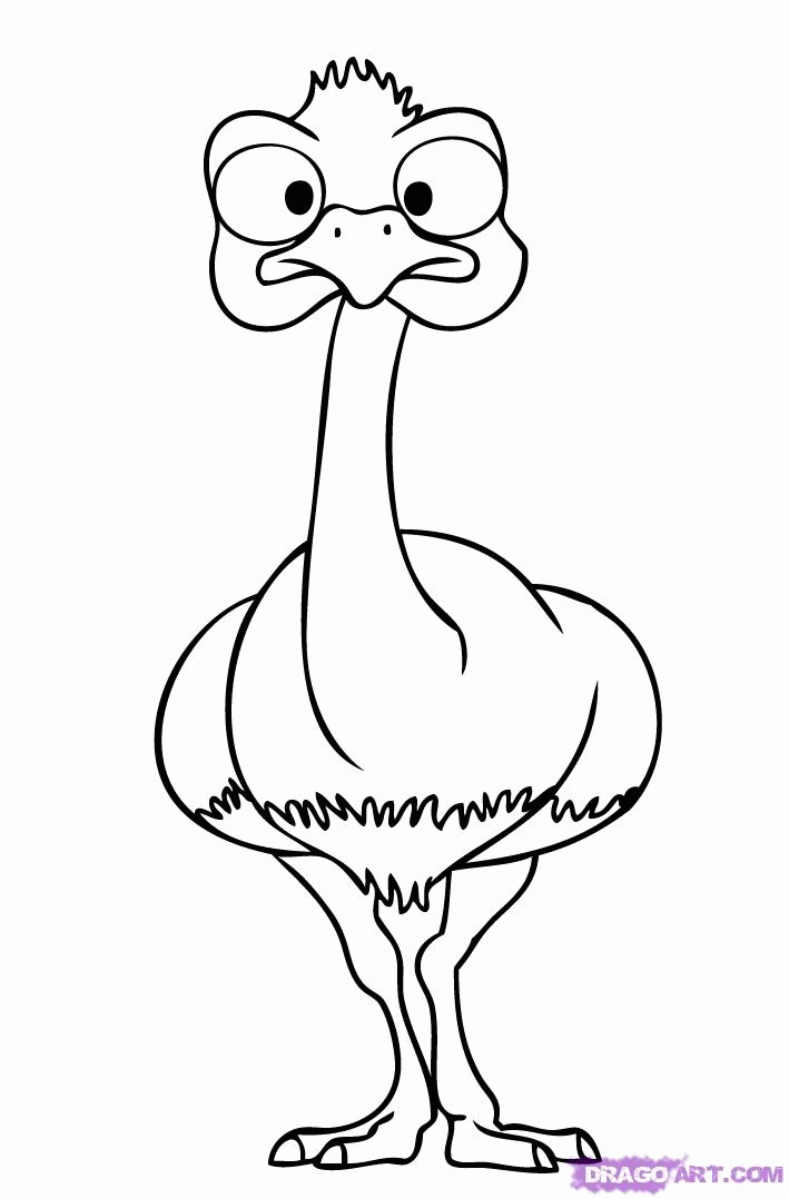 How to Draw an Ostrich, Step by Step, Cartoon Animals, Animals 