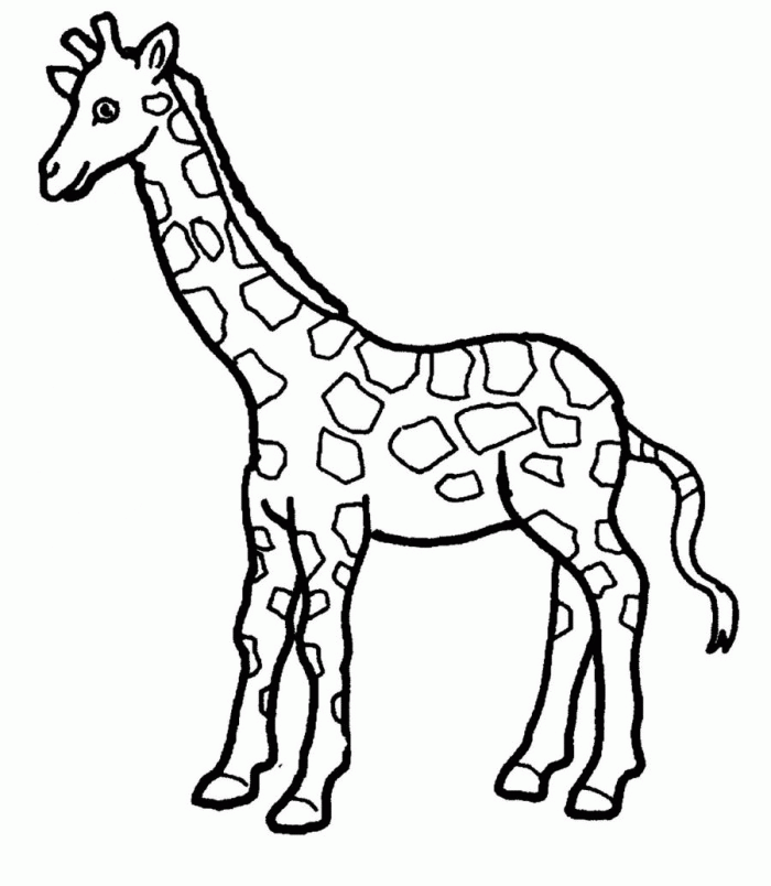 Giraffe Coloring Pages Crayola