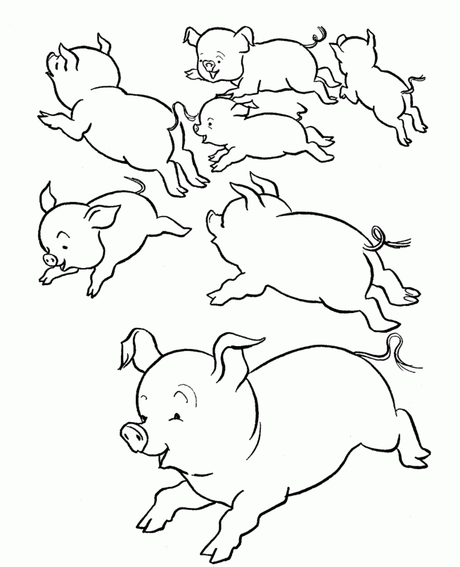 Runaway Pigs Coloring Pages - Pig Cartoon Coloring Pages : Cartoon 