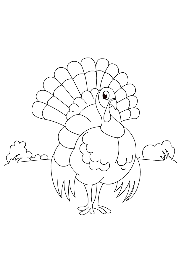 Bird Themed Coloring Pages | Color Hen