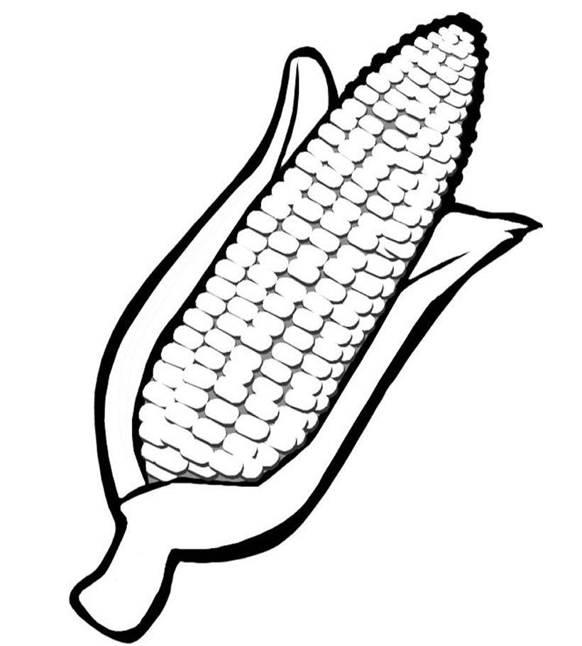 Print Corn Kwanzaa Coloring Page Source Nd Wallpaper Print Corn 