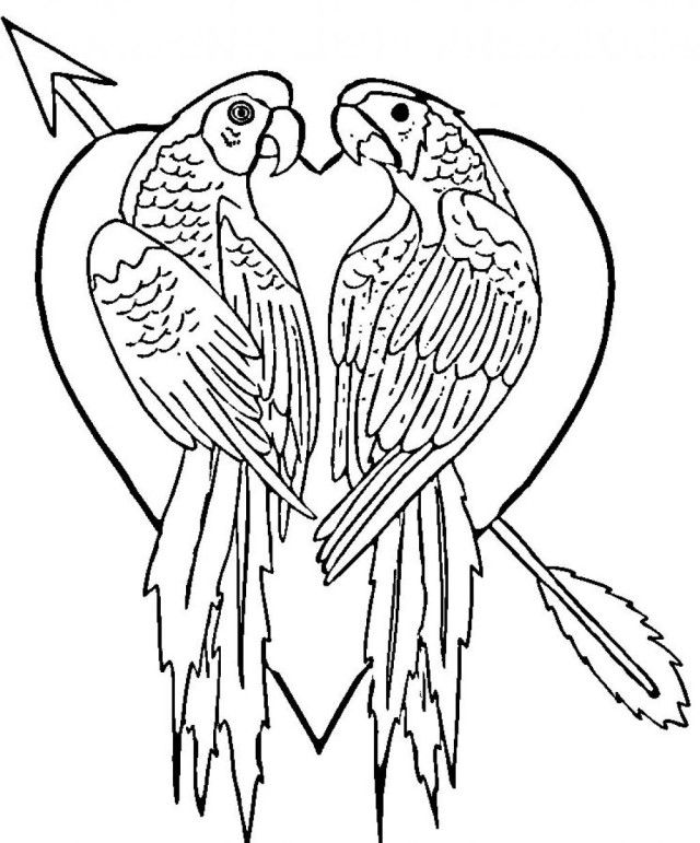 Parrot Coloring Pages Free For Kids | Laptopezine.